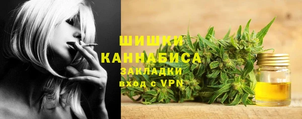 крисы Анжеро-Судженск