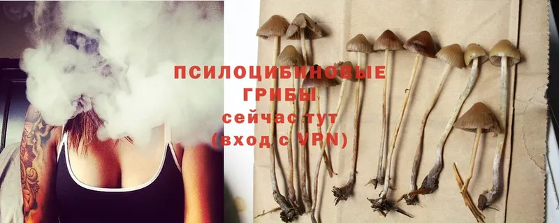 MEGA вход  как найти закладки  Заозёрный  Галлюциногенные грибы Psilocybe 