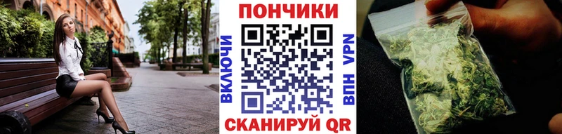 Конопля гибрид  Заозёрный 
